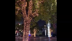 50leds Solar Powered String Lights IP65 Waterproof 8 Modes 23ft Extra Long Outdoor Solar Fairy String Lights for Garden, Patio, Party, Christmas, Home White