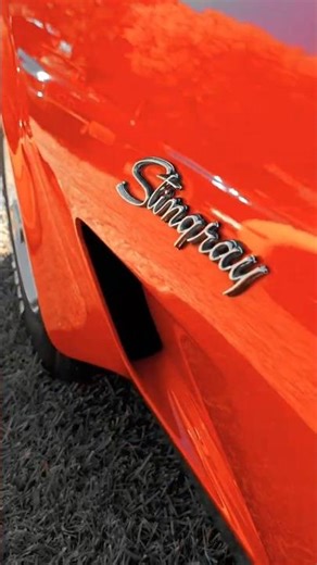 1976 Chevy Corvette Stingray C3 L-82. #chevy #Corvette #Stingray #c3 #musclecars #carshow #carshorts