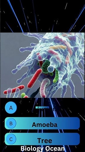 Unicellular Organism | Which organism has only one cell? | Single Cell bacteria |
