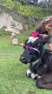 281K views · 8.2K reactions | Mariposa y yo les deseamos bonito día❤️ #cow #cowgirl #cows #singer #mic #cute #cutebaby #cuteanimal #viral #viralreels #fun #funny #funnyreels #funnyvideos #training #trainer #beauty #beautiful #women #animal #animallovers #mountains #ternero #bezerros #viralinstagram #viralvideos #animallovers #hogar #campo #ganaderia #vaquitas | BetzairAbrahamnis Perez | Facebook