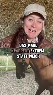 This horse is suffering...