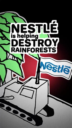 Nestlé is helping destroy rainforests By using illegal cocoa farms 90% of the rainforest In West African countries Much of it has been replaced By cocoa bean plantations Where Nestlé and other major brands Get much of their cocoa These cocoa plantations are driving Local wildlife toward extinction And they often use child slaves 7 out of 23 national parks Have been completely wiped out Due to widespread cocoa farming At the current rate of deforestation Most forested areas in the Ivory Coast Wil