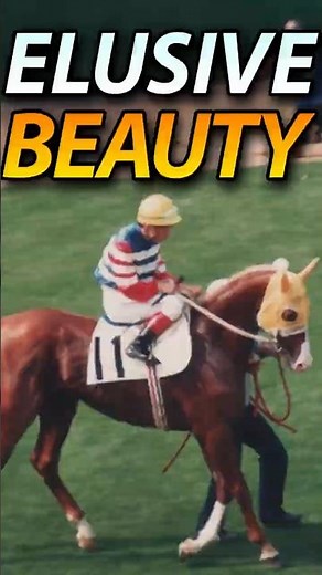 One of Japan’s Prettiest Racehorses Had Almost No Photos