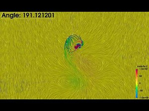 Example 2D Cycloidal Rotor Animation with Surface LIC Rendering from Paraview