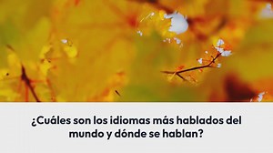 Cuáles son los idiomas más hablados del mundo y dónde se hablan?