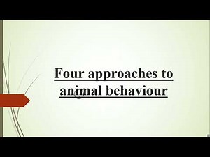 Four Approaches To Animal Behaviour | Asim zoologist