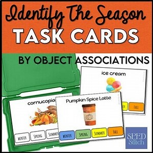 Seasons Identification Task Cards for Autism and Special Education
