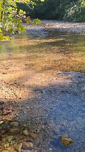 Tiny clear water stream. This would be relaxing to just chill by. | Show Me Creeks