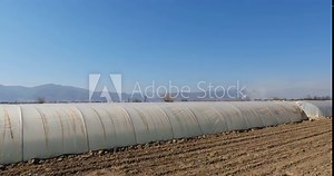 Commercial hemp production greenhouse filled with young plants. Heaters and fans keep the plants growing year round. Legalization of hemp and CBD oil production. BOOM DOWN