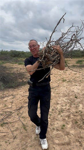 Come with fetch firewood for cooking | Neo KirchBaby