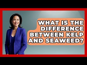 What Is The Difference Between Kelp And Seaweed? - The Geography Atlas