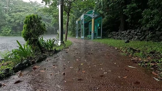 Rainy Day, Rain, Path. Free Stock Video