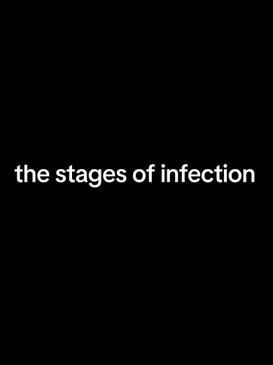 Anatomy of Infection: Stages and Impacts