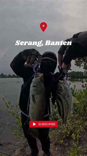 Target Fishing with Shimano Techniques