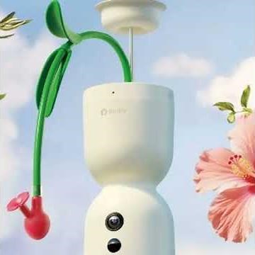 Netvue Birdfy smart bird watching innovations continue