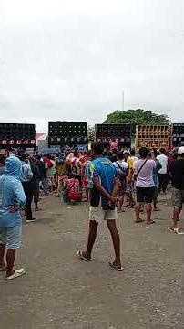 bancal Carles sound show