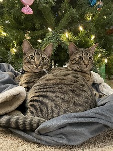 114 reactions · 12 shares | Better late than never, here's our annual...