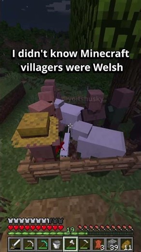 are Minecraft villagers Welsh?