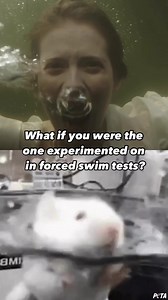 Dropped into inescapable beakers of water & forced to swim for their lives—that's what mice & rats go through in the forced swim test 😢 These tests are supposedly used to help mental health in humans, but the only thing this discredited test succeeds in is terrifying animals 💔 | PETA (People for the Ethical Treatment of Animals)