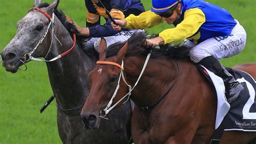 SKY Racing Update - 12/04/17