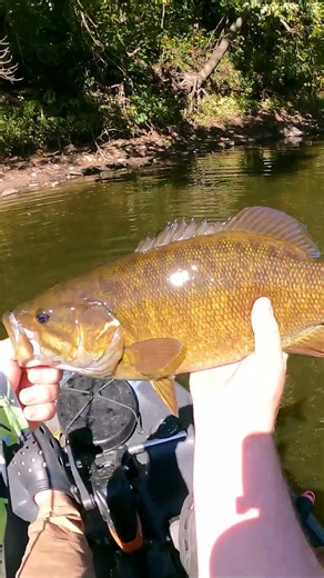 Wacky Rigging Crawfish #bassfishing