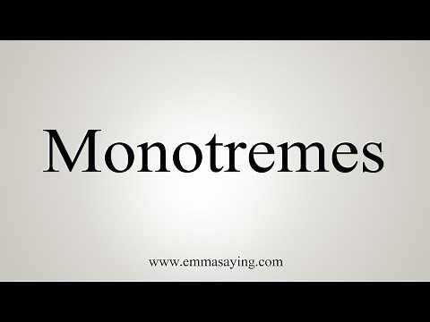 How To Say Monotremes