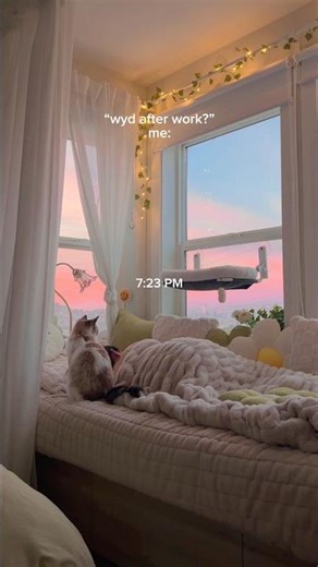 most beautiful sunset i’ve captured so far 🍀😩#cozy #apartmentview #windownook #sunset #roominspo