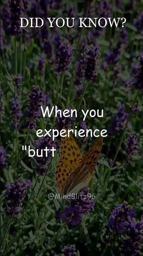 The Science of Butterflies in Your Stomach: Unraveling the Emotions Behind the Flutter