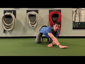 Stretching the Trunk