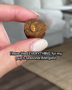"I wish I knew about this probiotic dog chew for his seasonal allergies & itching earlier. He was uncomfortable for far too long" | PetLab Co.
