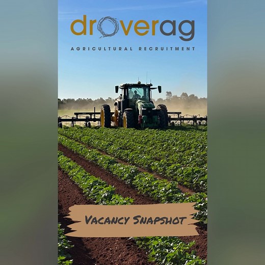📣 𝐍𝐄𝐖 𝐖𝐄𝐄𝐊, 𝐍𝐄𝐖 𝐂𝐀𝐑𝐄𝐄𝐑! 📣 The Drover Ag job board has been restocked with fresh opportunities across Australian agriculture this week! Whether you’re chasing a Property Manager role in QLD or a Senior Station Hand role in NSW, your next move is waiting. 𝗦𝘄𝗶𝗽𝗲 ➡️ 𝗣𝗮𝘂𝘀𝗲 ➡️ 𝗔𝗽𝗽𝗹𝘆. Hit the link in our bio to find all the details and apply today. Don't wait—these premium roles move fast! #DroverAg #AgJobs #AgriculturalCareers #NewOpportunities #AustralianAgriculture #