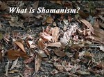 My Introduction to Shamanism