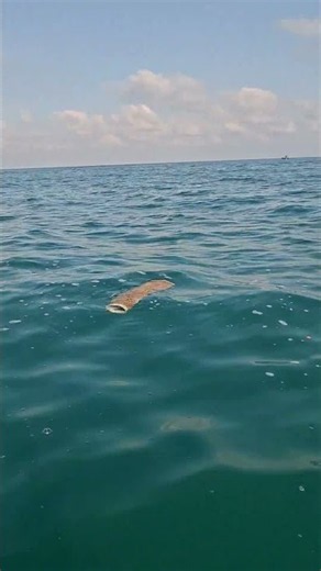 Semi-submerged sea hazards that can ruin a good day - Sea Doo Spark #summer2026