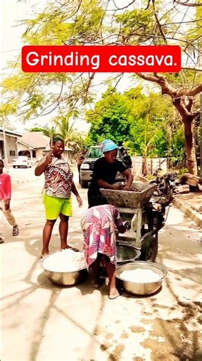 This is how we grind cassava to produce garri #mylifestyle #cassavaflour