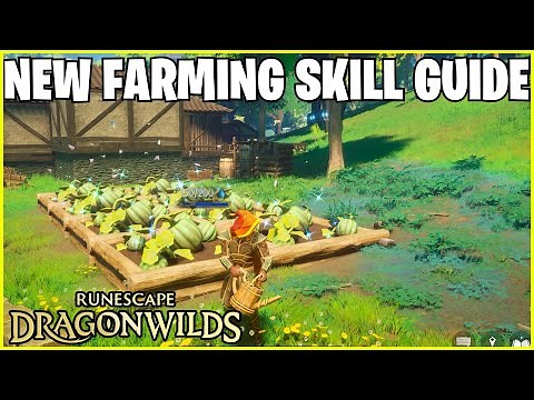 RuneScape Dragon Wilds: Farming Guide!