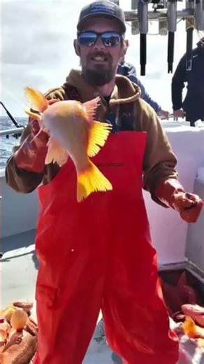 Deadliest Catch Star Dies After Overboard Fall