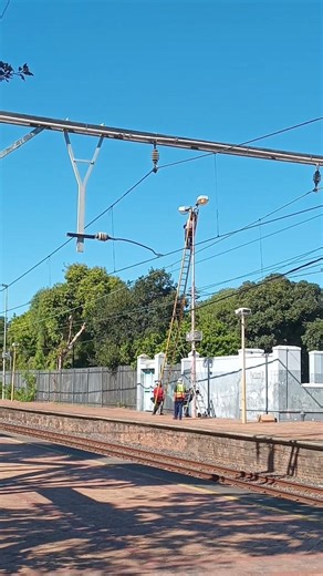 how many Bob does it take to fix a light bulb