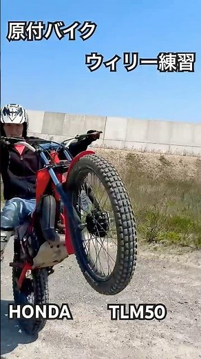 原付バイク ウィリー 練習 激突 転倒 失敗 リカバリー 方法 HONDA TLM50 #トライアル #オフロードバイク #フロントアップ #2サイクル #TLR200#50cc