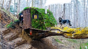 2.7K views · 58 reactions | Creating a warm and cozy survival shelter at the base of a fallen tree. | Wilderness Skills | Facebook