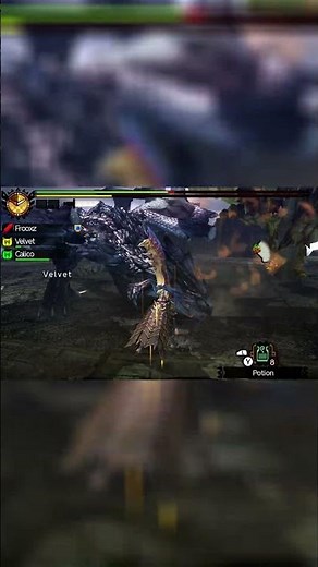 HELP! | Monster Hunter 4 Ultimate (Nintendo 3DS)