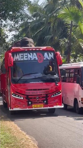 Meenadan mass entry.........