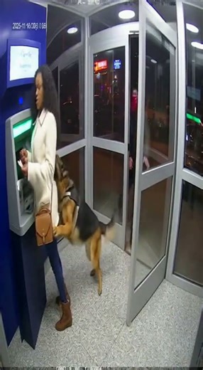 Dog Saves Lonely Women From Robber at ATM | Caught Unseen
