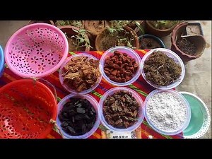 How To Make Orchid Potting Mix At Home/All About Orchids (Potting Mix, Care And Tips)