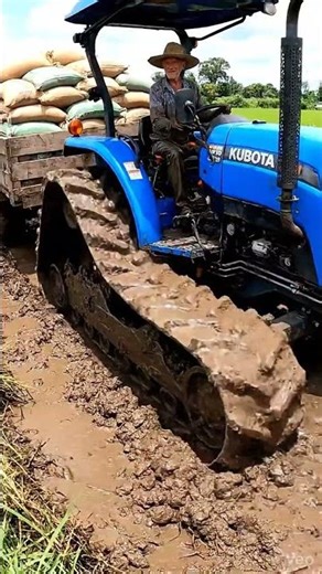 Sky Blue Power! 🚜 Kubota MU5501 Conquers Deep Mud! 💥🌾 #shorts #tractor
