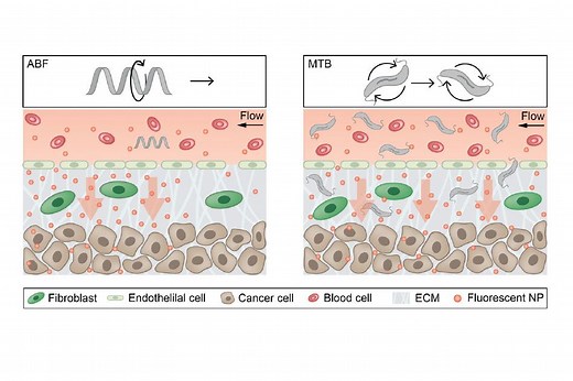 Nanoparticles take a fantastic, magnetic voyage