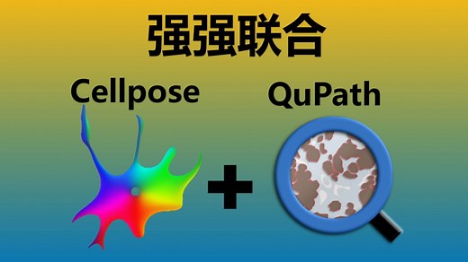 QuPath与Cellpose强强联合: 特殊细胞分割