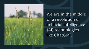 3 Ways How AI Can Help Farmers Tackle Modern Challenges of Agriculture