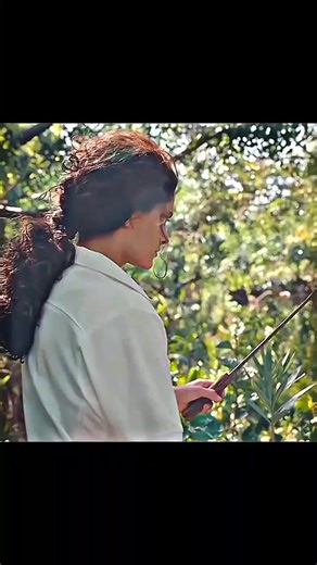 Exploring the Lives of British Royals: Prince Harry and Meghan Markle