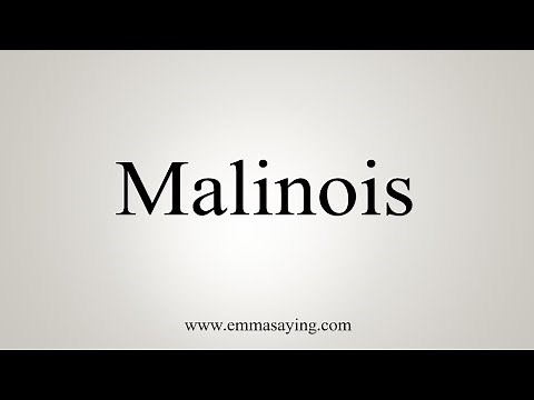 How To Say Malinois