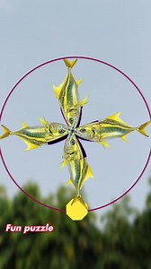 Fish challenge 👈 | Fun puzzle